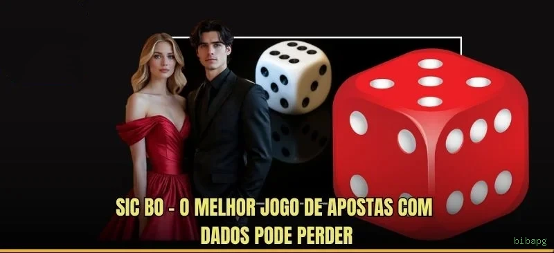 Programa VIP bibapg - benefícios exclusivos